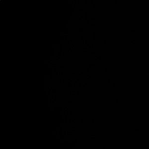 Meet your Posher, Ariana